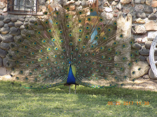 [Click to Supersize]